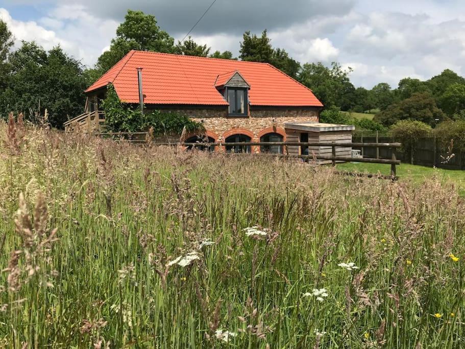 Villa Burleyhayes Barn - Secluded Devon Hideaway. Hemyock Exterior foto