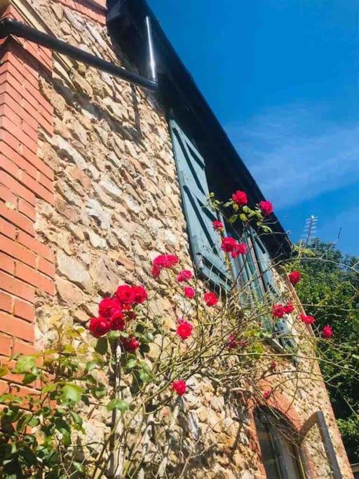 Villa Burleyhayes Barn - Secluded Devon Hideaway. Hemyock Exterior foto